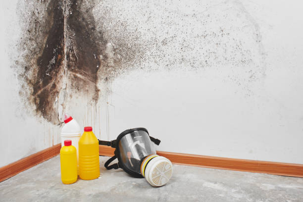 Best Commercial Mold Removal  in Bend, OR