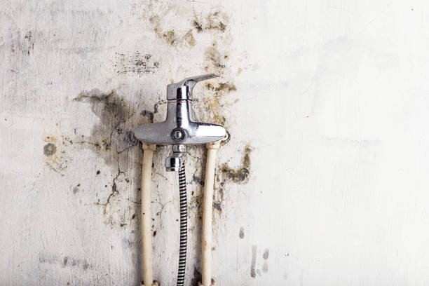 Best Mold Removal Company Near Me  in Bend, OR