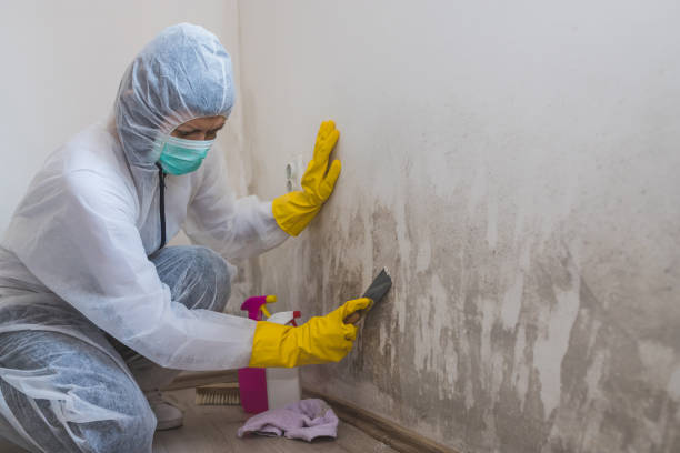 Best Crawl Space Mold Removal  in Bend, OR