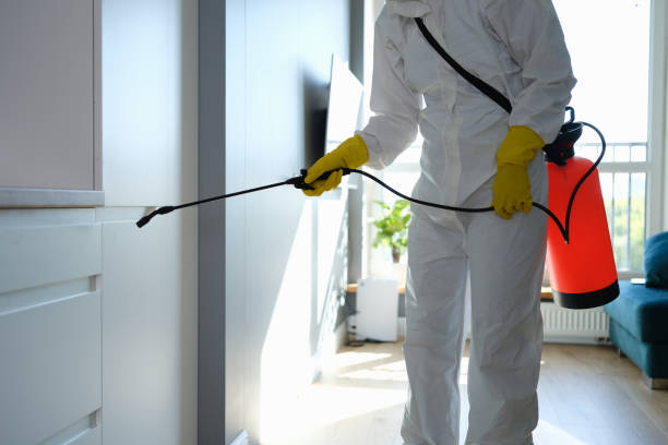 Best Attic Mold Removal  in Bend, OR