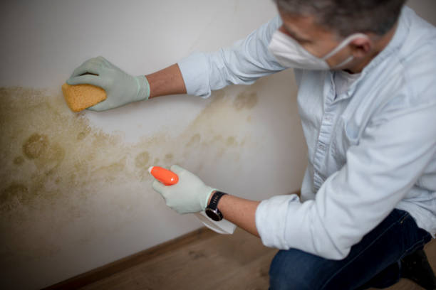 Best Commercial Mold Removal  in Bend, OR