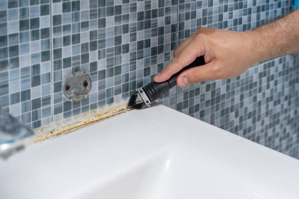 Best Office Mold Removal Services  in Bend, OR